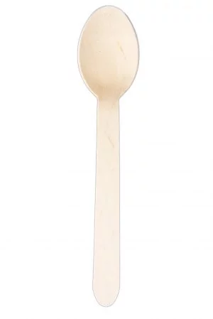 Biodegradable Wooden Dessert Spoon-0